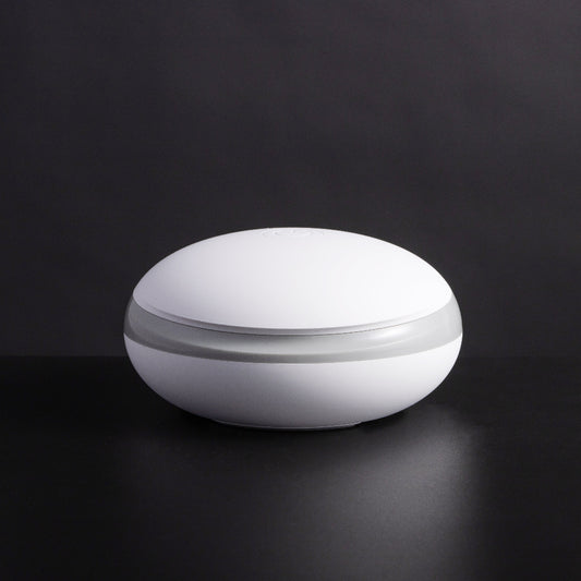 ZiloGo Travel Sanitizer Case