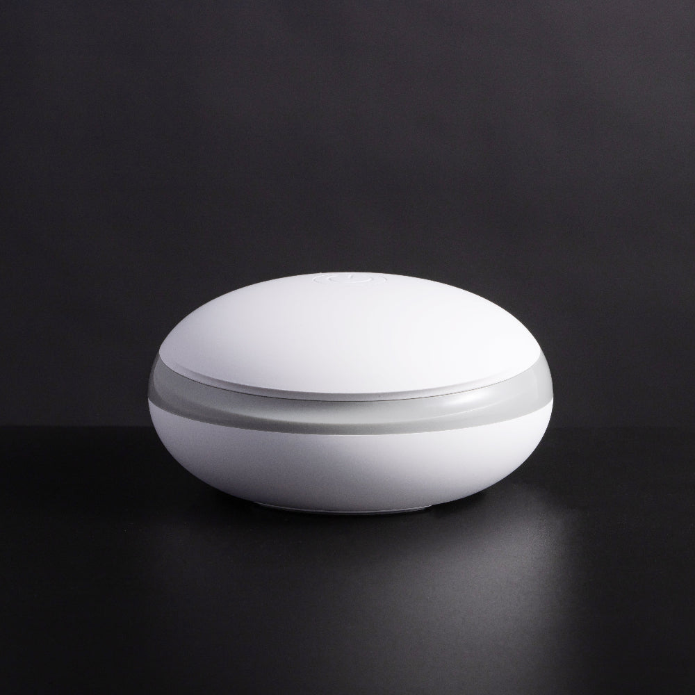 ZiloGo Travel Sanitizer Case