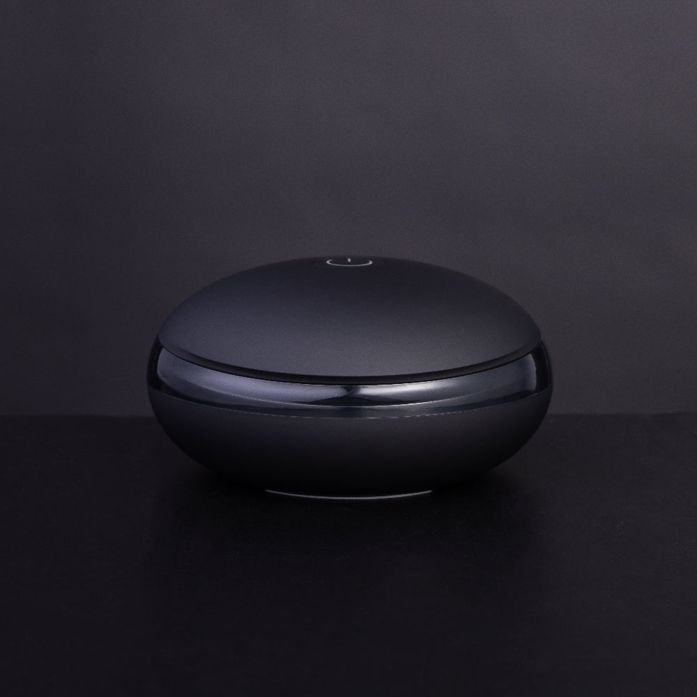 ZiloGo Travel Sanitizer Case